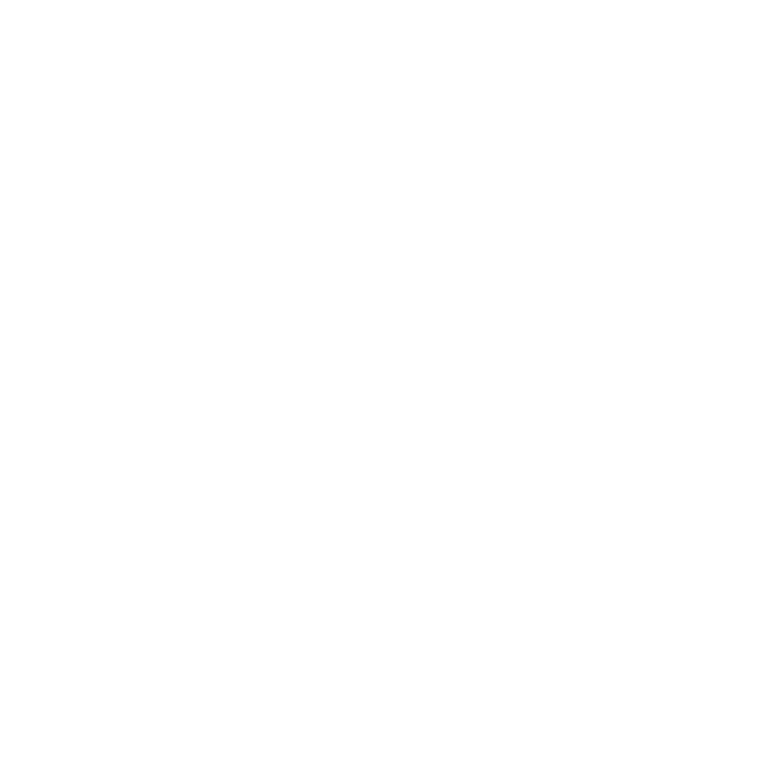 asset-icon